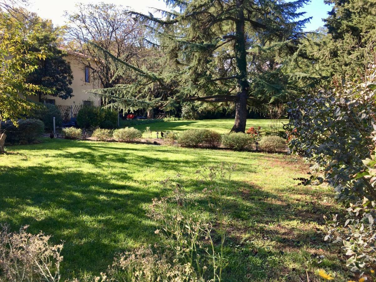Gites Avec Piscine Et Jacuzzi Au Mas De Cadoule Saint-Just  Cameră foto